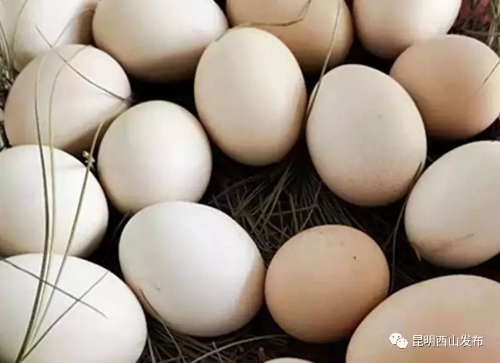 640.webp (2) 640.webp (2)