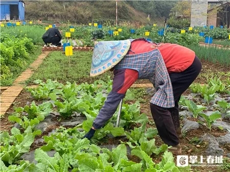 640.webp (3) 640.webp (3)