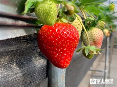 640.webp (4) 640.webp (4)