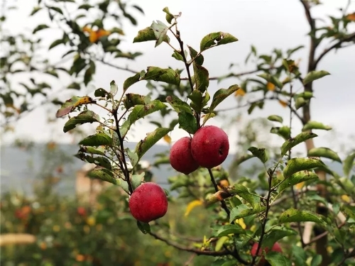 640.webp (5) 640.webp (5)