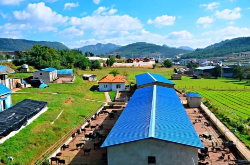 640.webp (6) 640.webp (6)