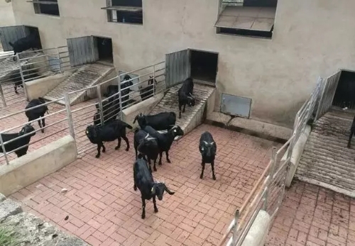 640.webp (7) 640.webp (7)