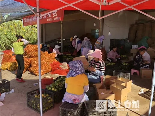 640.webp (12) 640.webp (12)