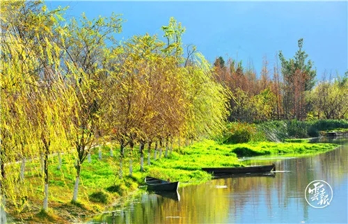 640.webp (2) 640.webp (2)