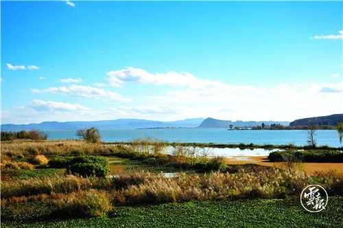 640.webp (6) 640.webp (6)