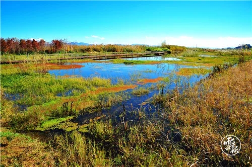 640.webp (8) 640.webp (8)