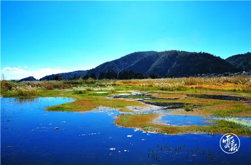 640.webp (1) 640.webp (1)