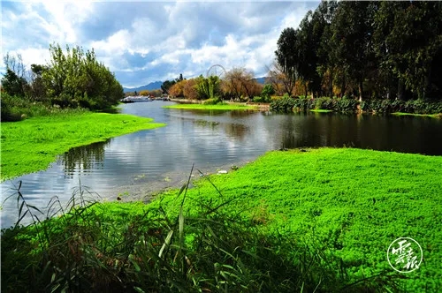 640.webp (3) 640.webp (3)