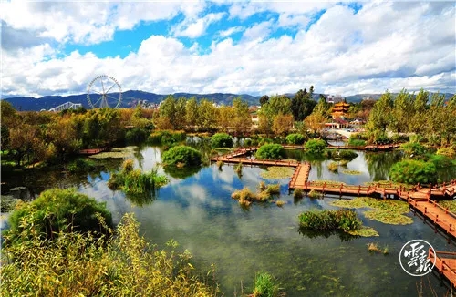 640.webp (5) 640.webp (5)