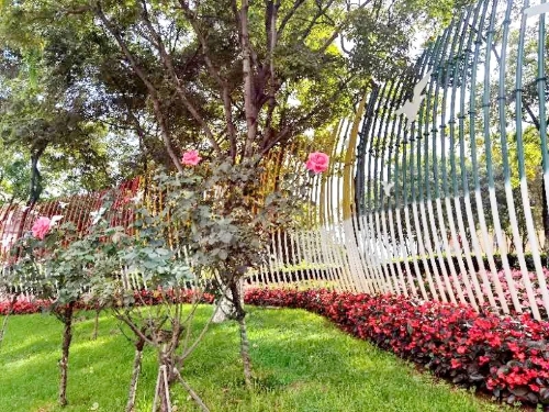 640.webp (4) 640.webp (4)