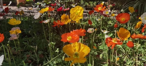 微信图片_20210220111041 微信图片_20210220111041