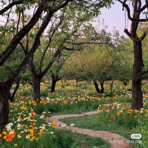 微信图片_20210408095019 微信图片_20210408095019