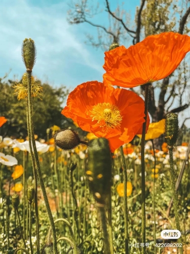 微信图片_20210408095027 微信图片_20210408095027